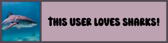 THIS USER LOVES SHARKS!